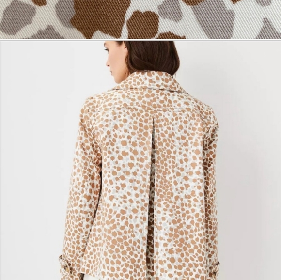 New! Ann Taylor Leopard Print Cotton Peacoat sz. MED 8-10 (12) - Picture 3 of 9